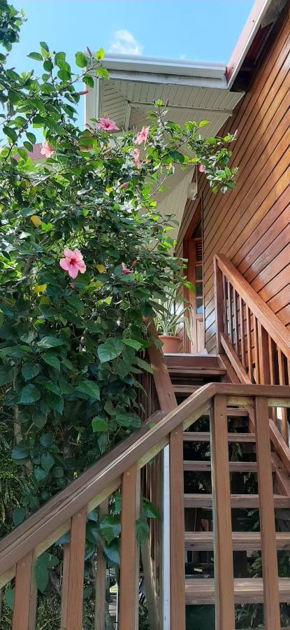 Bungalow Mangifera Proche De La Plage 르 디아망 외부 사진
